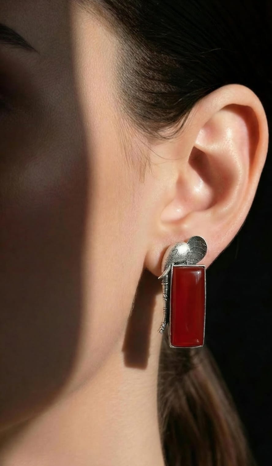 Gaj Oxidized Stone Earring